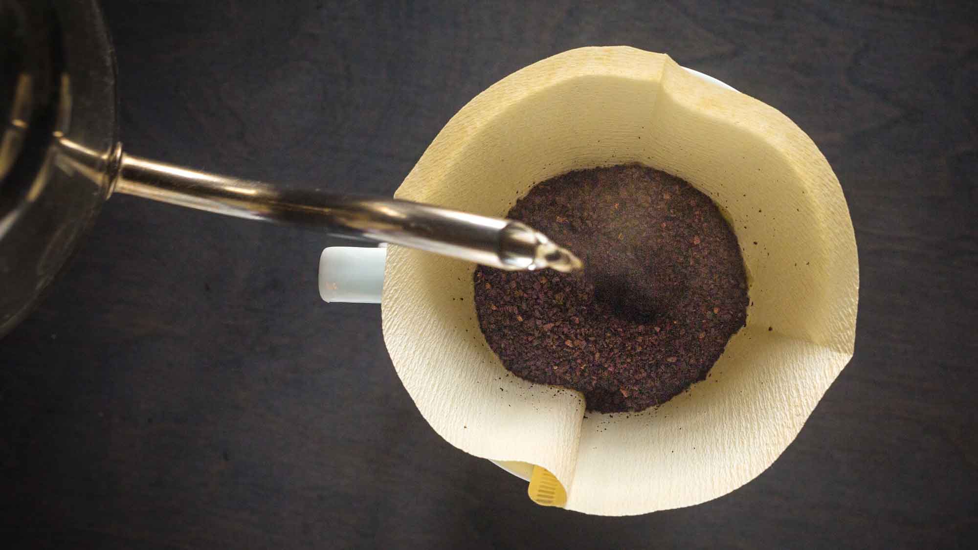 Beginning Pour Over Coffee: The Bee House Coffee Dripper